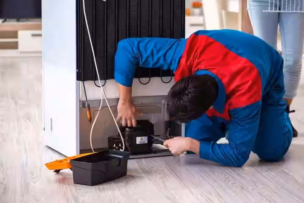 Diagnosis & Repair