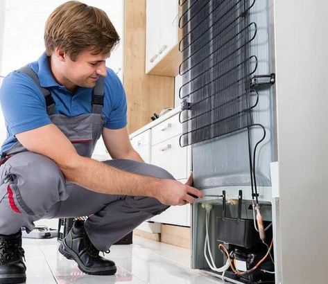 Professional Fridge Repair Technician